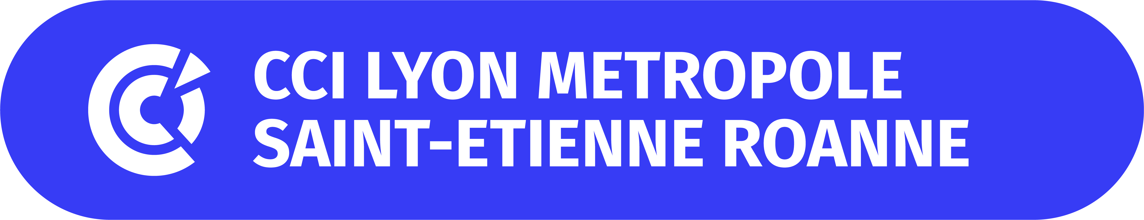 CCI Lyon